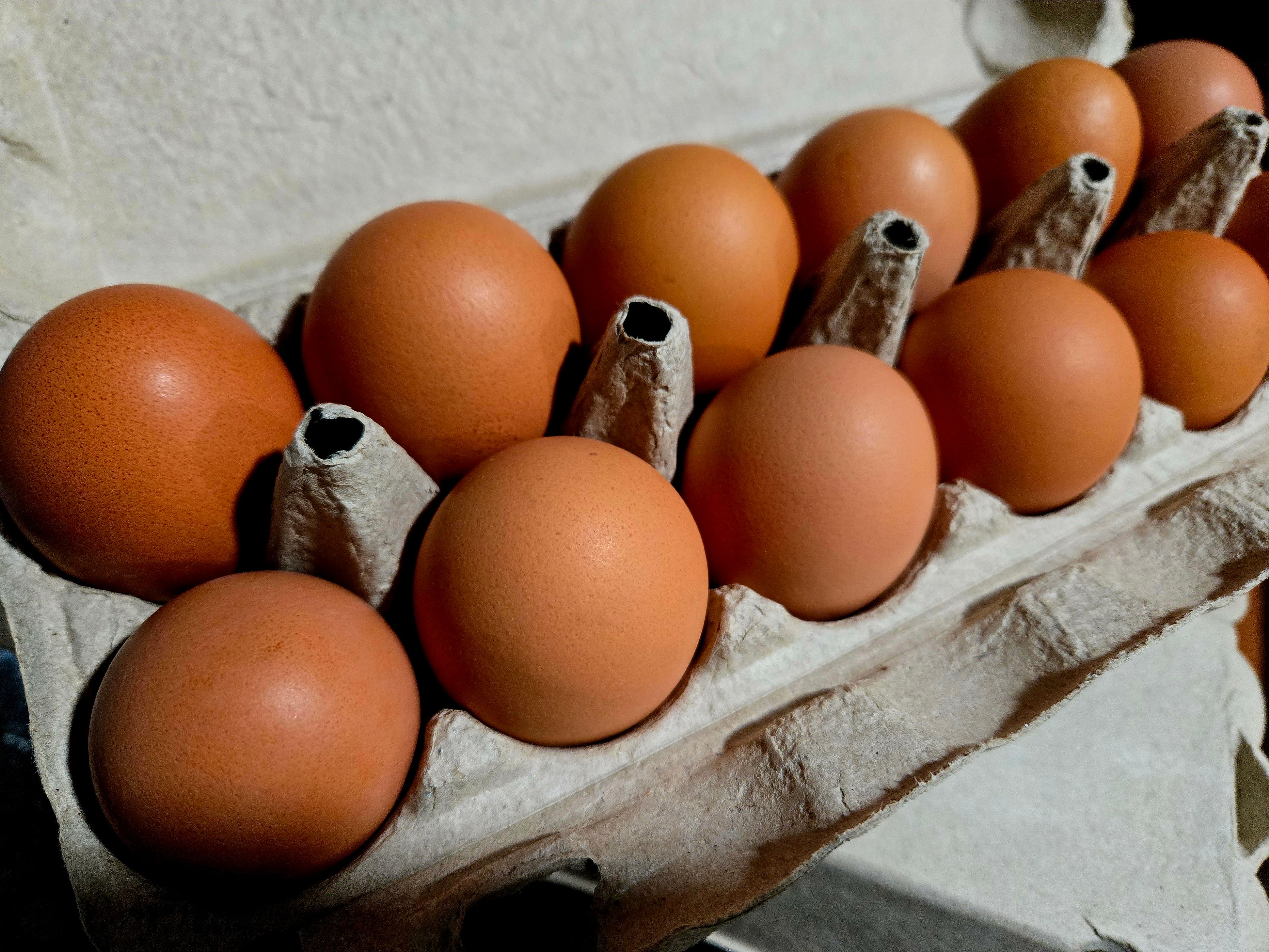 Eggs